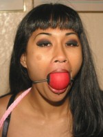 Dragon Lily at Dungeon Masters