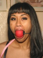 Dragon Lily at Dungeon Masters